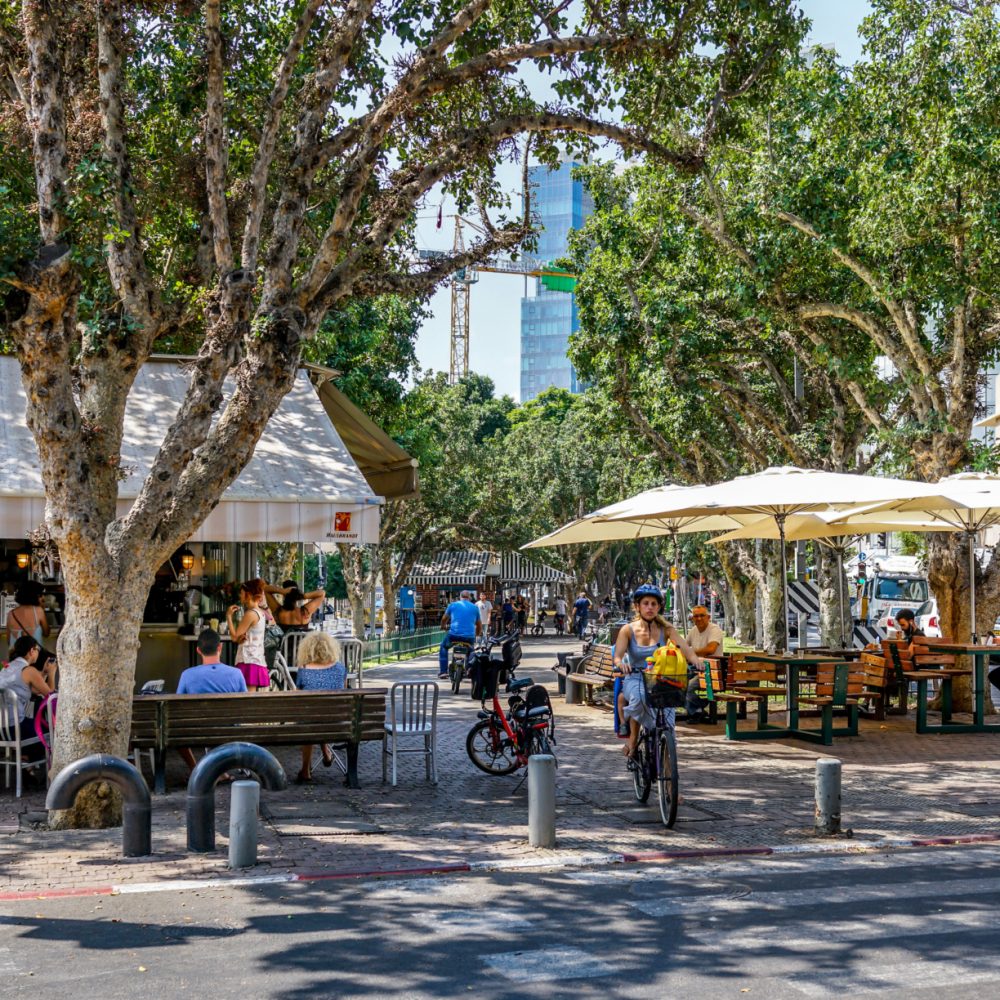 Cafes and bike paths on tree-lined Rothschild Boulevard
